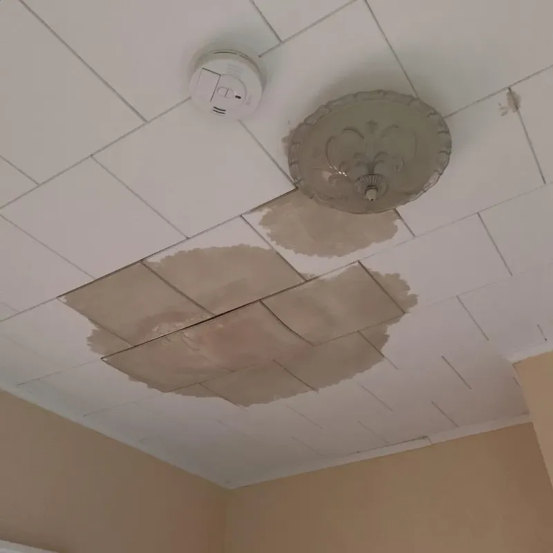 Ceiling Water Damage Repair in Waynesville, OH