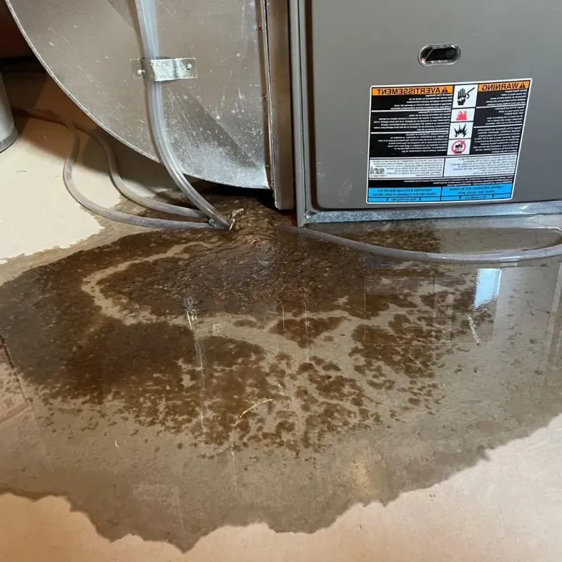 Pipe Burst and Leak Restoration in Waynesville, OH
