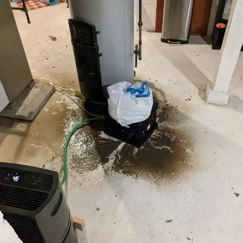 Sewage Backup Cleanup Service in Waynesville, OH